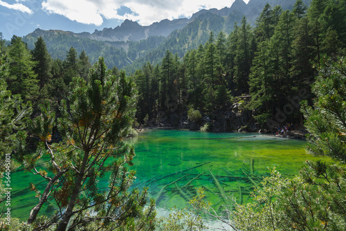 Lac Vert dans la vallée Étroite en été, Névache, Hautes-Alpes, France 