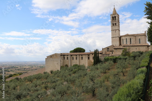 Olive Trees and Basilica Santa Chiara in Assisi, Umbria Italy
