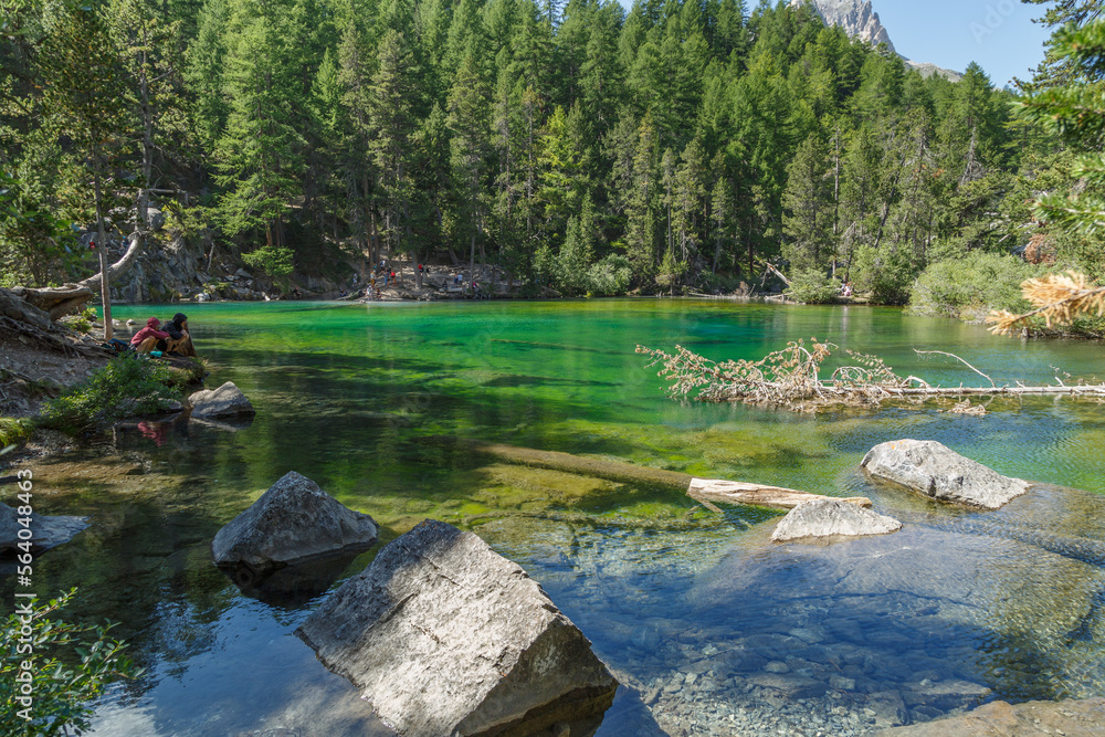 Lac Vert dans la vallée Étroite en été, Névache, HautesAlpes, France