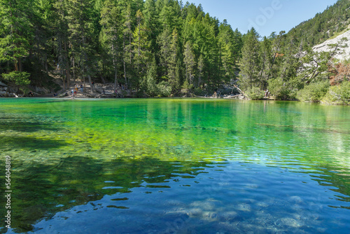 Lac Vert dans la vall  e   troite en   t    N  vache  Hautes-Alpes  France 