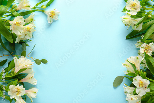 Beautiful white alstroemeria flowers on color background