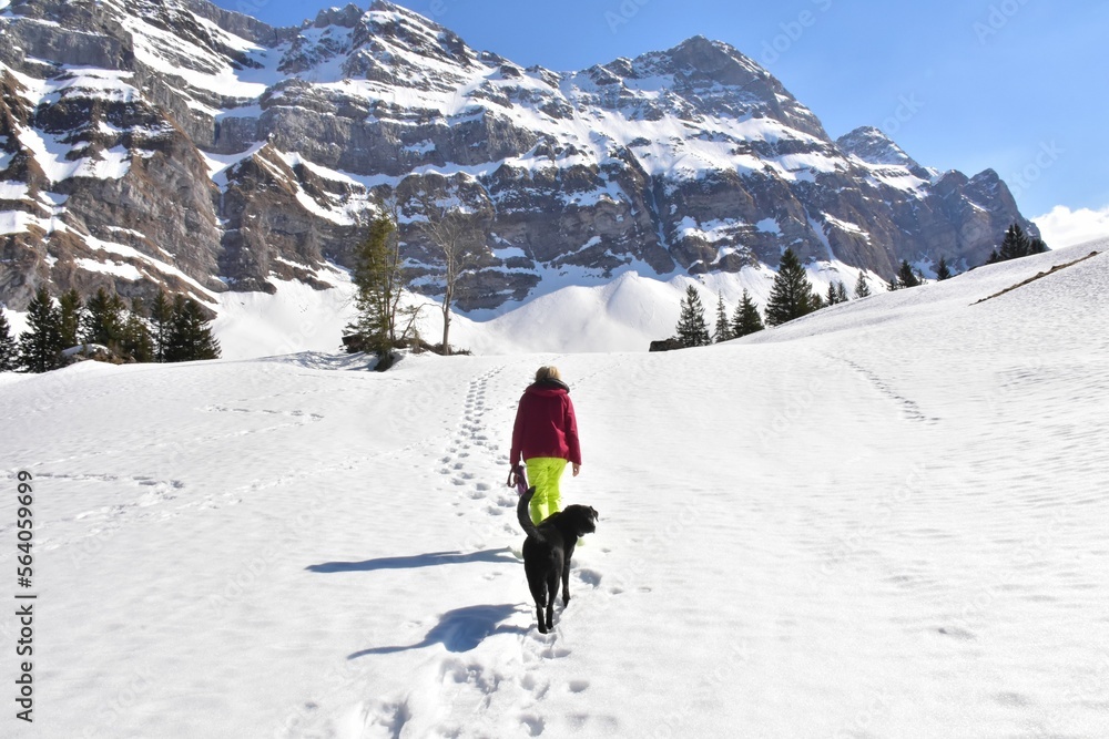a woman walks with a dog in the snow in the mountains