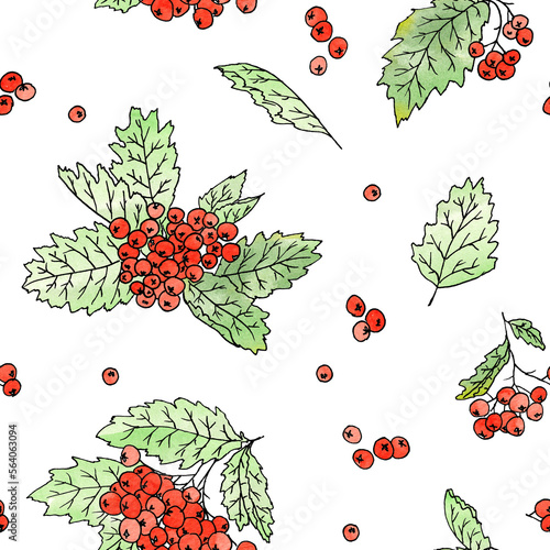 Red rowanberry watercolor painting - seamless pattern isolated on white background
