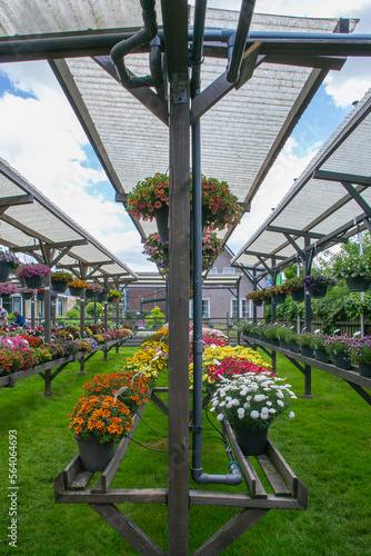 greenhouse with flowers