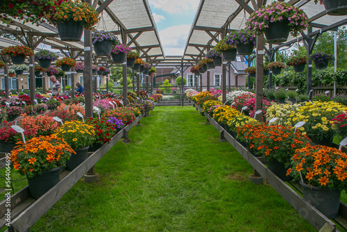 greenhouse with flowers