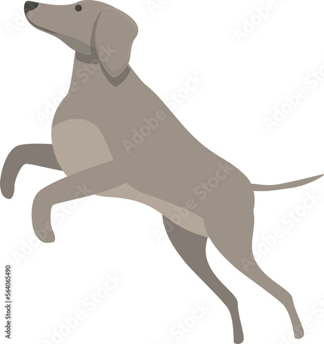 Funny greyhound icon cartoon vector. Animal dog. Sprint race