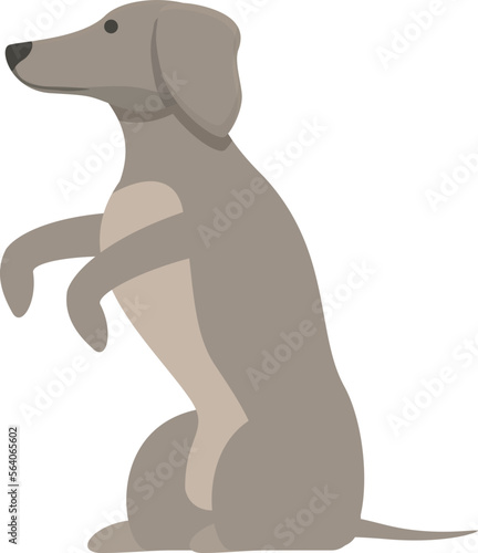 Play greyhound icon cartoon vector. Animal dog. Breed race