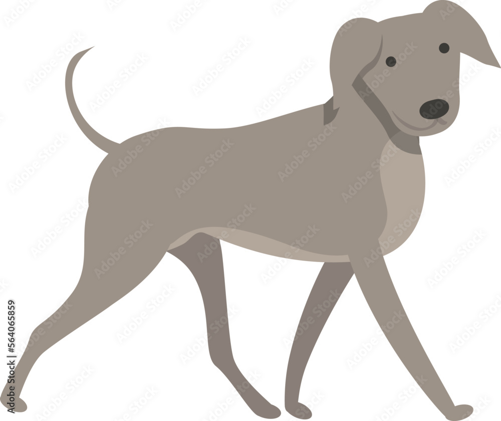 Dog walk icon cartoon vector. Animal run. Breed sprint