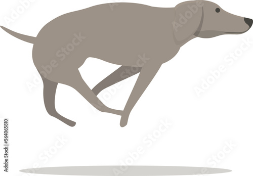 Greyhound run icon cartoon vector. Dog animal. Canine sprint