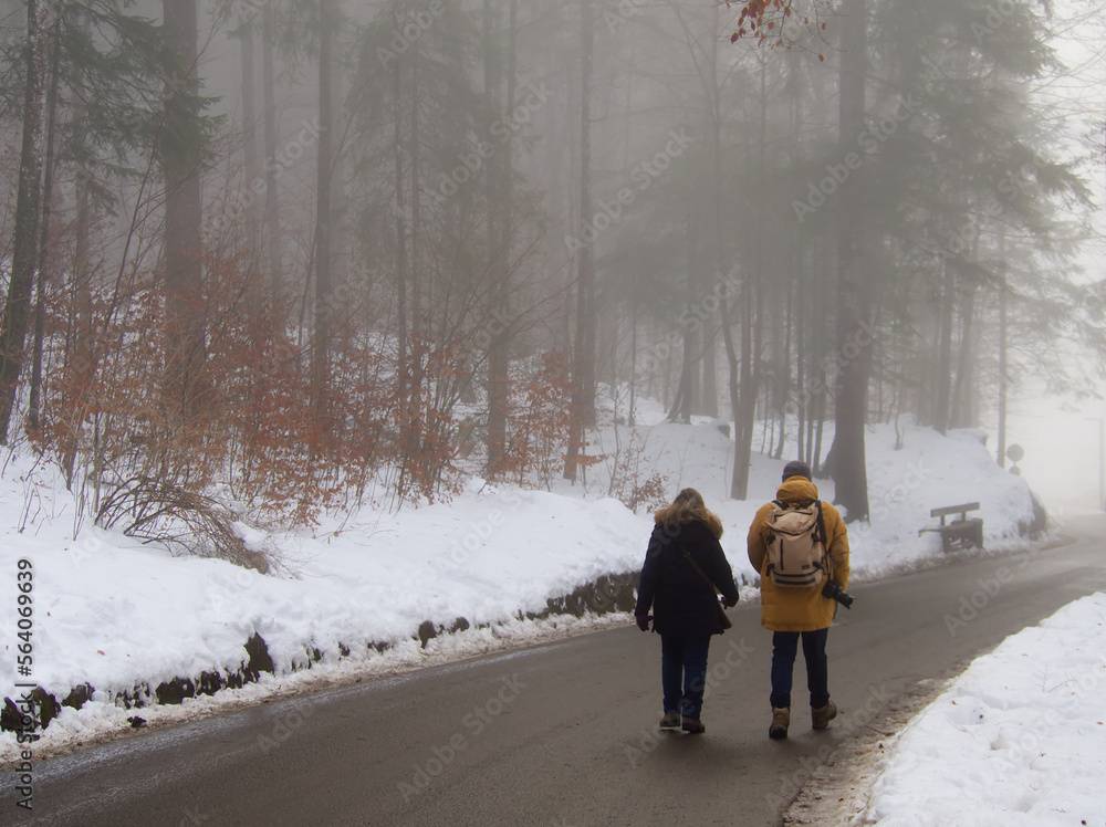 Alpine misty footpath during wintertime, Germany