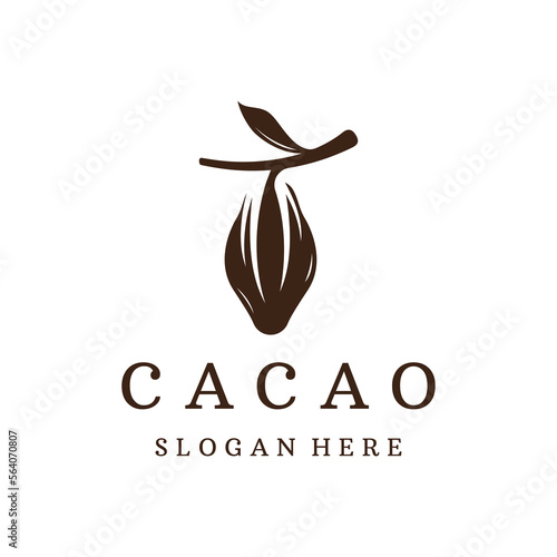 Chocolate cocoa pod plant logotype template design, cocoa bean, exotic organic plant isolated background.