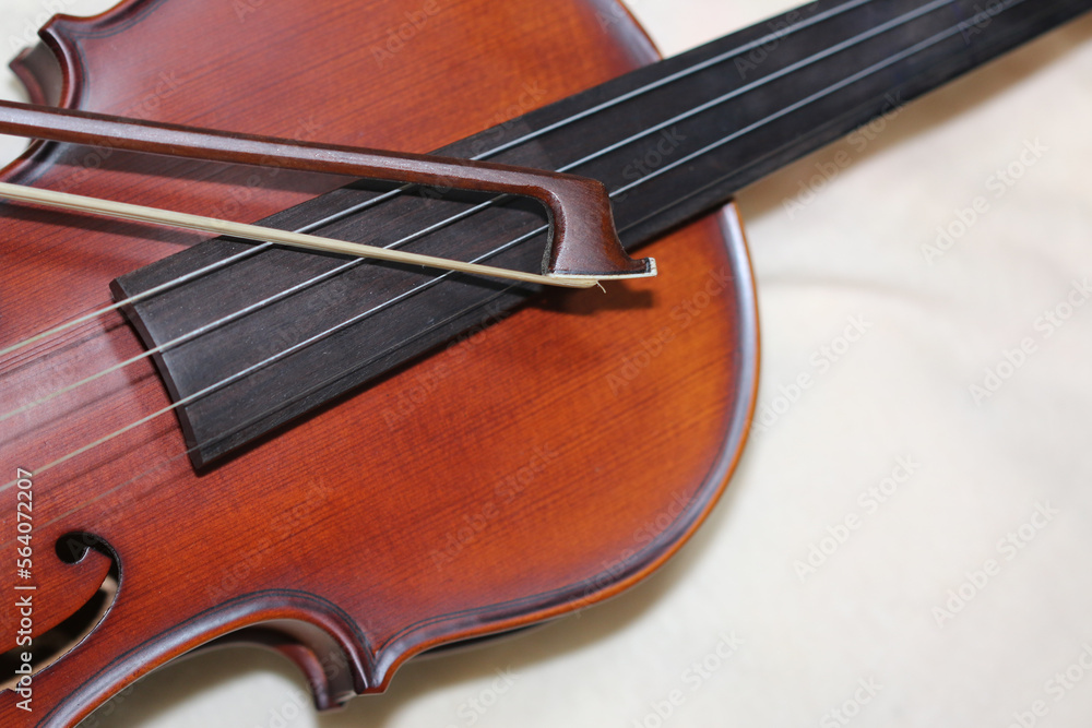 Wooden violin body in brown color Wooden violin body in brown color