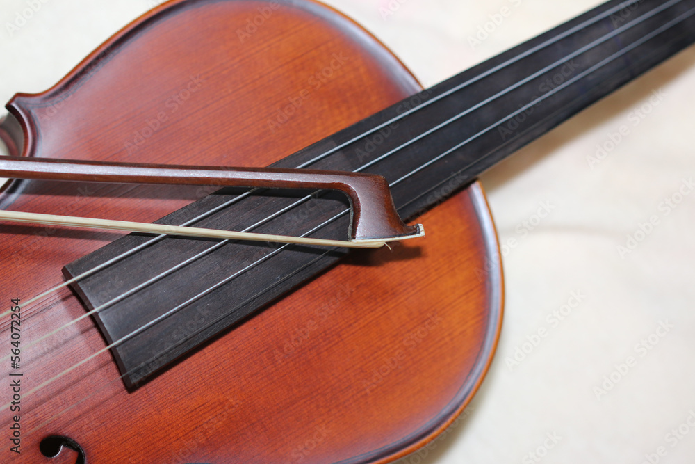 Wooden violin body in brown color Wooden violin body in brown color