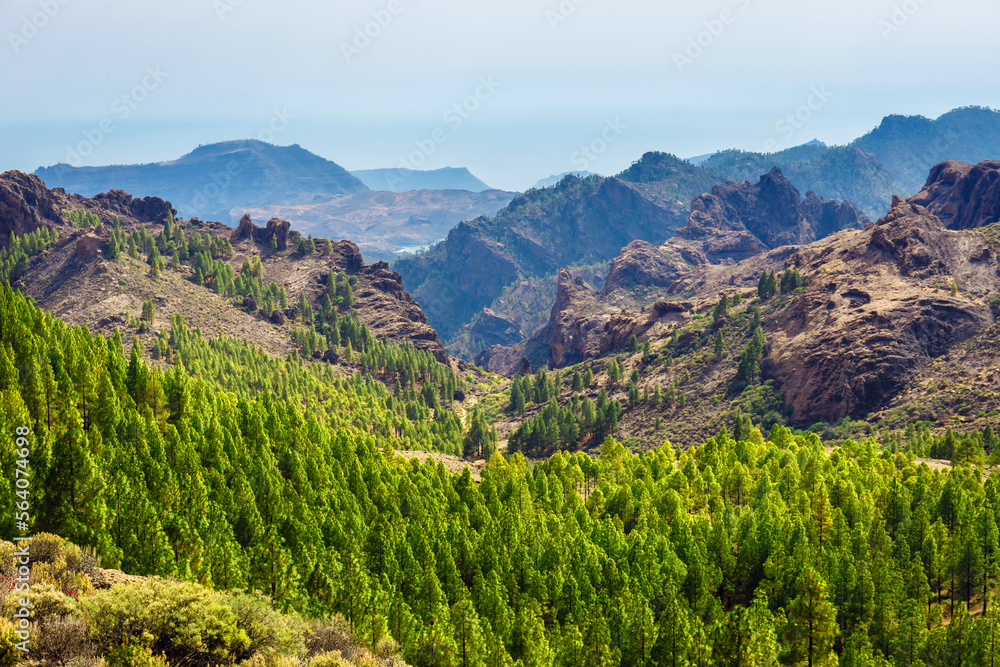 Naklejka premium beautiful landscape of the volcanic island of gran canaria