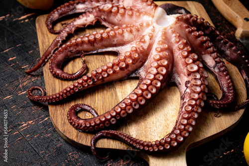 Octopus on a wooden cutting board. 
