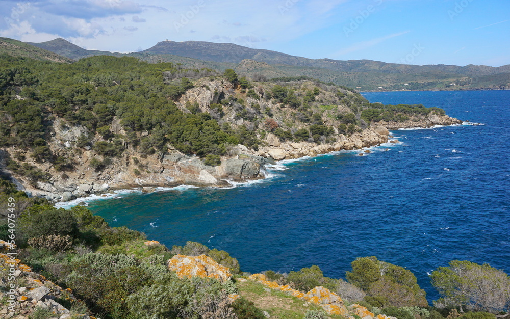 Wild rocky coast of the Mediterranean sea on the Costa Brava in Spain, Catalonia, Alt Emporda