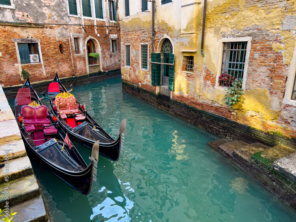 Canal in Venice with a small garden and a tree near the house, on the water. Canals of Venice. Traditional Gondolas on narrow canal between colorful historic houses in Venice, Italy
