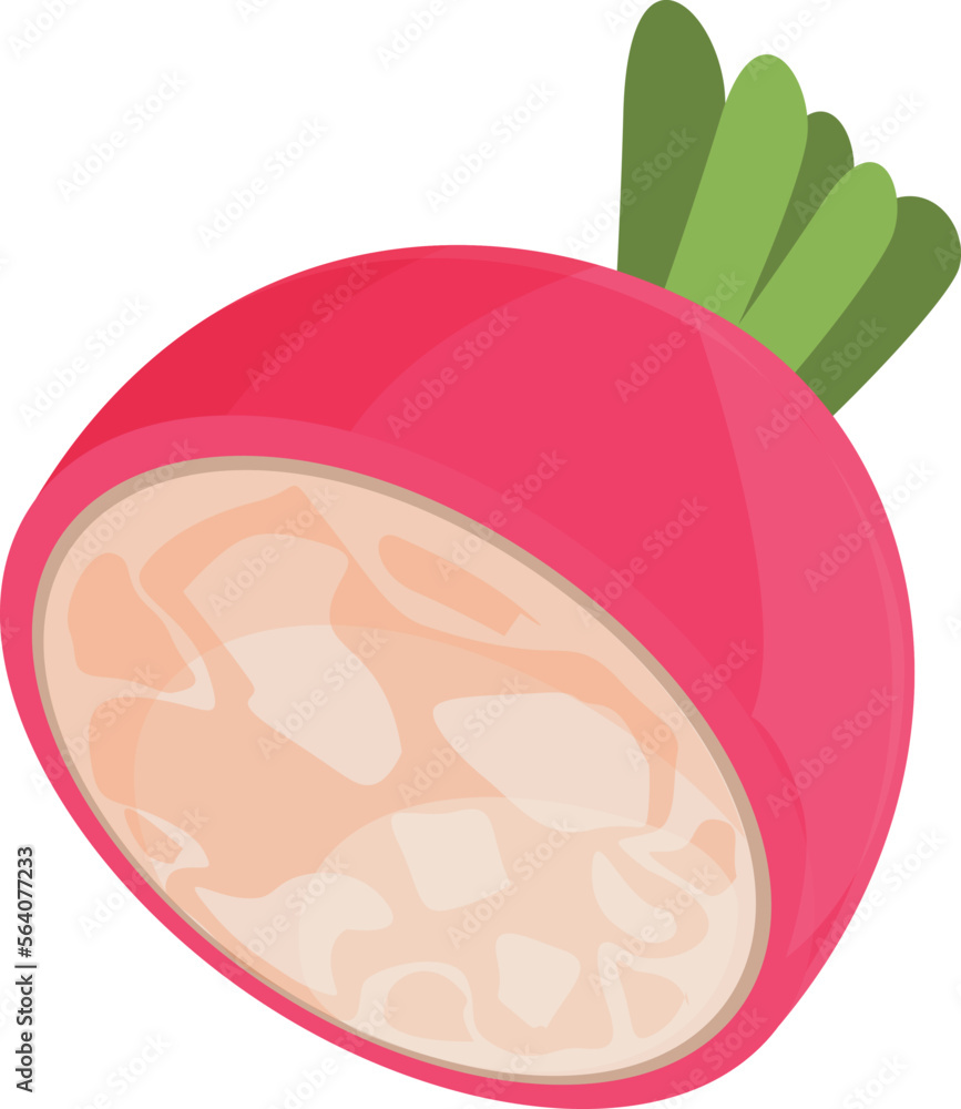 Summer radish icon cartoon vector. Healthy diet. Vitamin color Summer radish icon cartoon vector. Healthy diet. Vitamin color