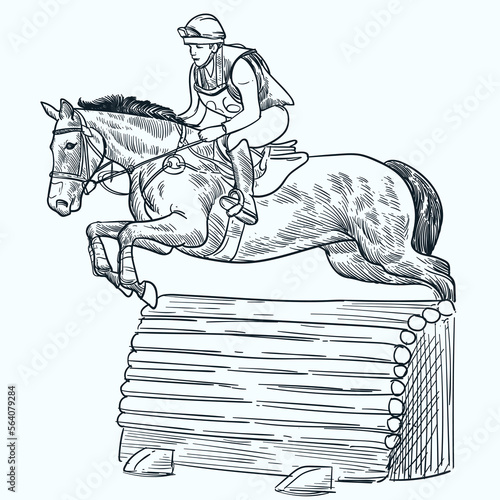 Vintage hand drawn sketch jumping Irish sport horse