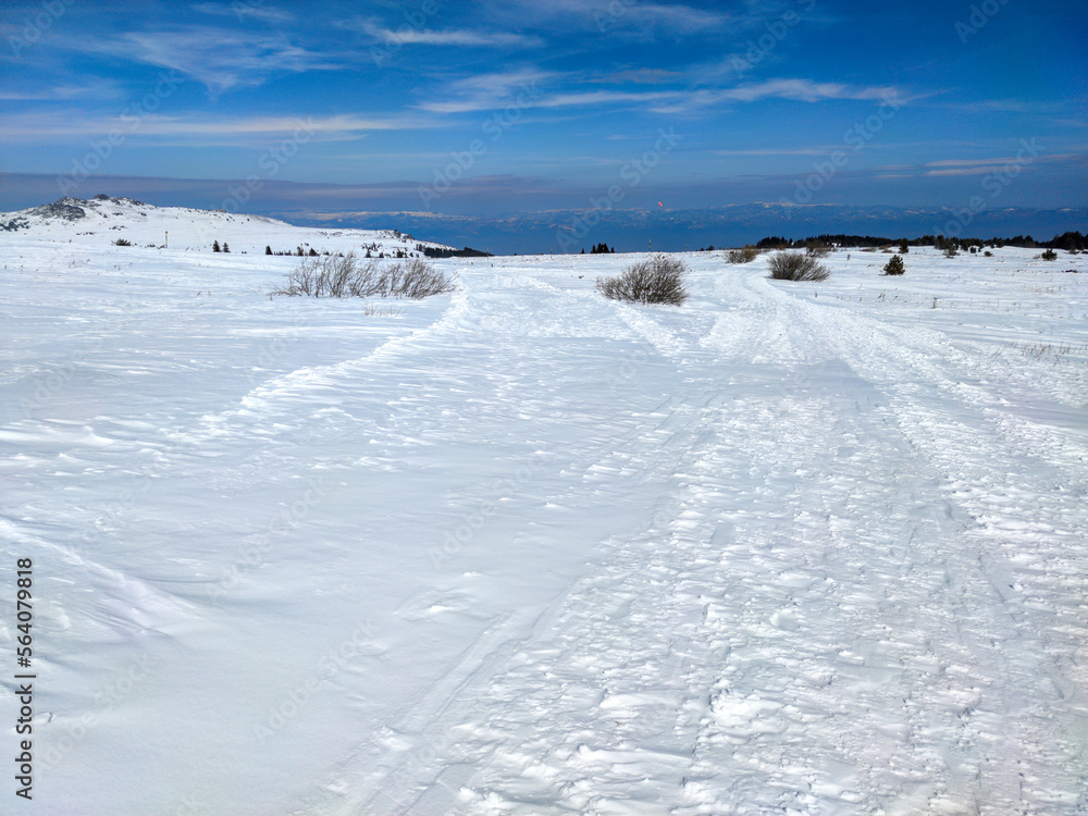 Winter landscape near Platoto area at Vitosha Mountain, Bulgaria