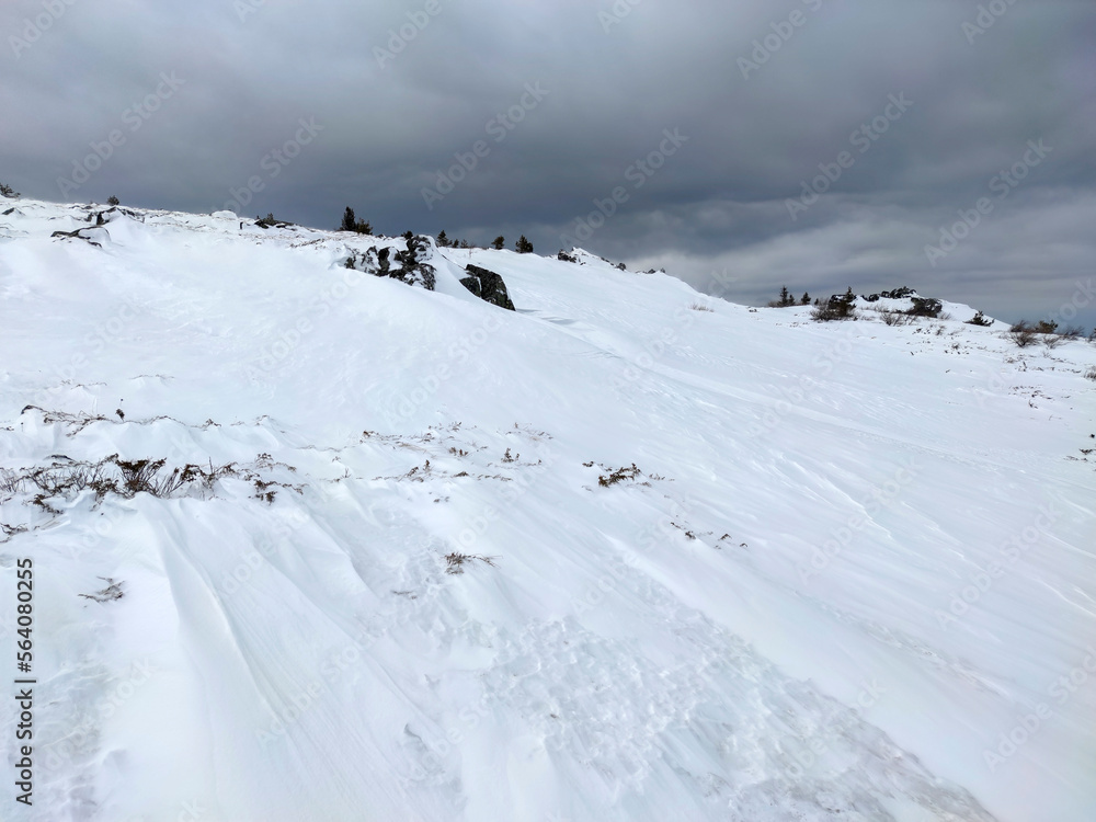 Winter landscape near Platoto area at Vitosha Mountain, Bulgaria