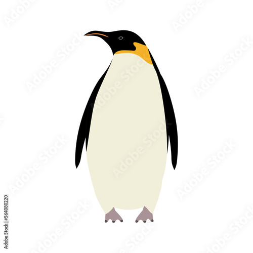 Vector hand drawn flat emperor penguin isolated on white background