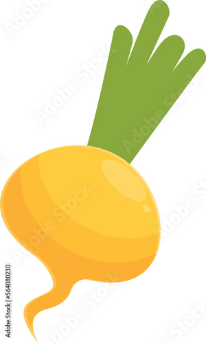 Diet turnip icon cartoon vector. Green root. Fresh farm