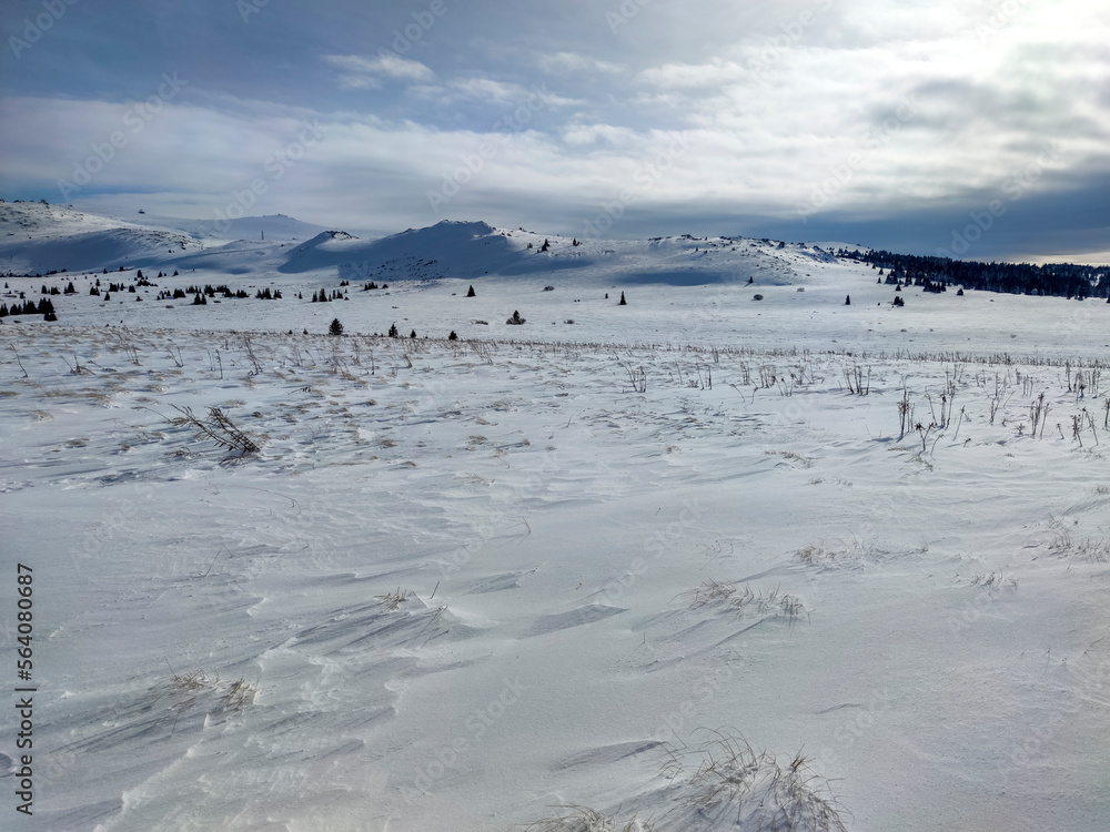 Winter landscape near Platoto area at Vitosha Mountain, Bulgaria