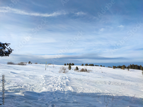 Winter landscape near Platoto area at Vitosha Mountain, Bulgaria © Stoyan Haytov