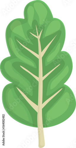 Green chard icon cartoon vector. Swiss salad. Food plant
