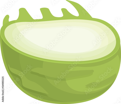 Half kohlrabi icon cartoon vector. Healthy food. Organic turnip