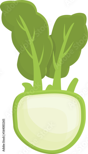 Organic kohlrabi icon cartoon vector. Natural plant. Fresh design