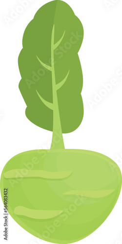 Nature kohlrabi icon cartoon vector. Healthy food. Organic vegetable