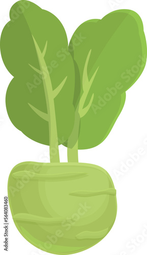 Fresh kohlrabi icon cartoon vector. Healthy food. Organic plant