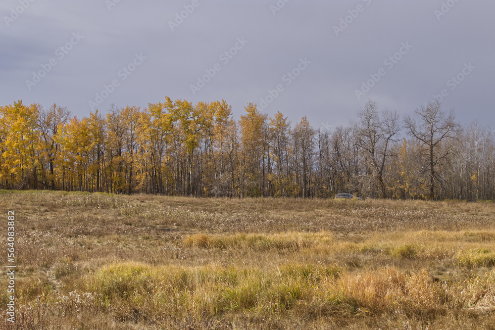 Elk Island National Park on a Cloudy Autumn Day Elk Island National Park on a Cloudy Autumn Day