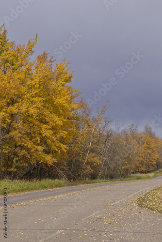 Elk Island National Park on a Cloudy Autumn Day