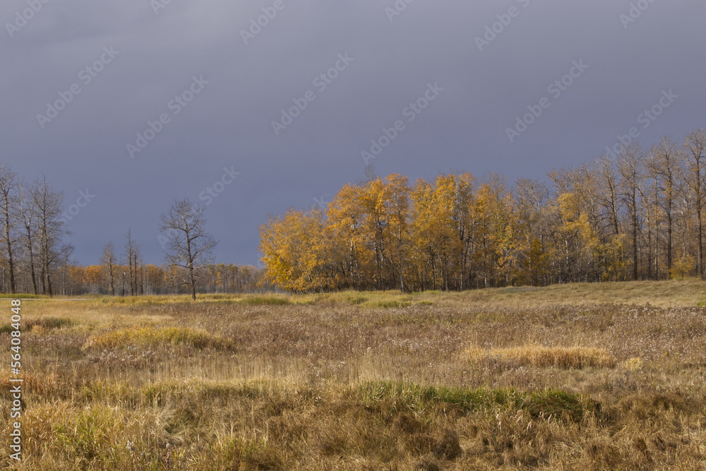 Elk Island National Park on a Cloudy Autumn Day Elk Island National Park on a Cloudy Autumn Day