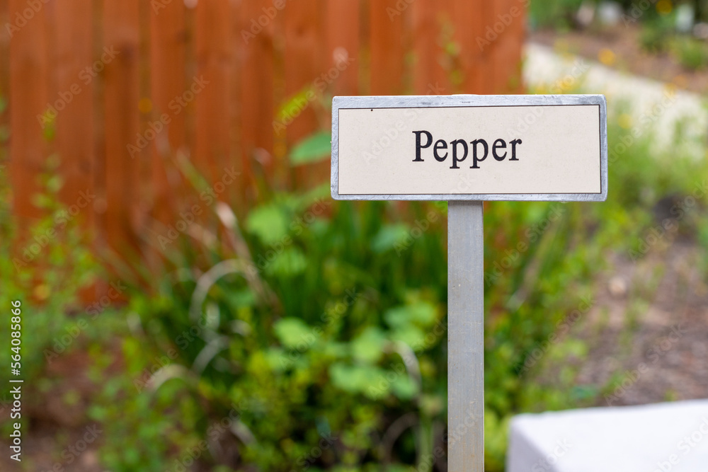 A white sign with pepper is written in black text. The sign is on a small wooden post. There are green woody plants growing in the garden. The pepper vines have long stems with small fruit balls. 