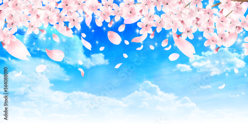 桜　春　青空　背景