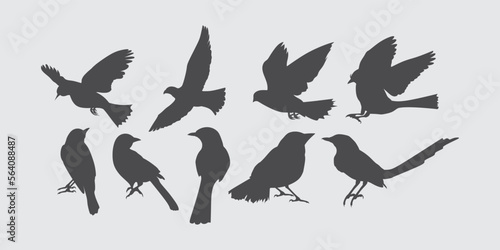 Set of black bird silhouettes. Vector elements for design illustration.