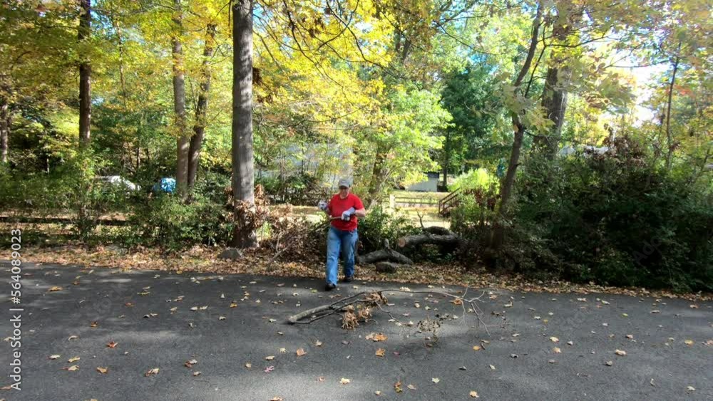 woman cleaning dead branches from fallen tree in the garden in autumn woman cleaning dead branches from fallen tree in the garden in autumn