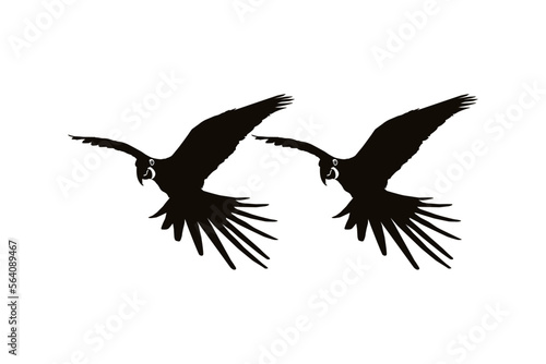 Pair of the Flying Macaw Bird Silhouette for Logo, Pictogram, Art Illustration, Website or Graphic Design Element. Vector Illustration