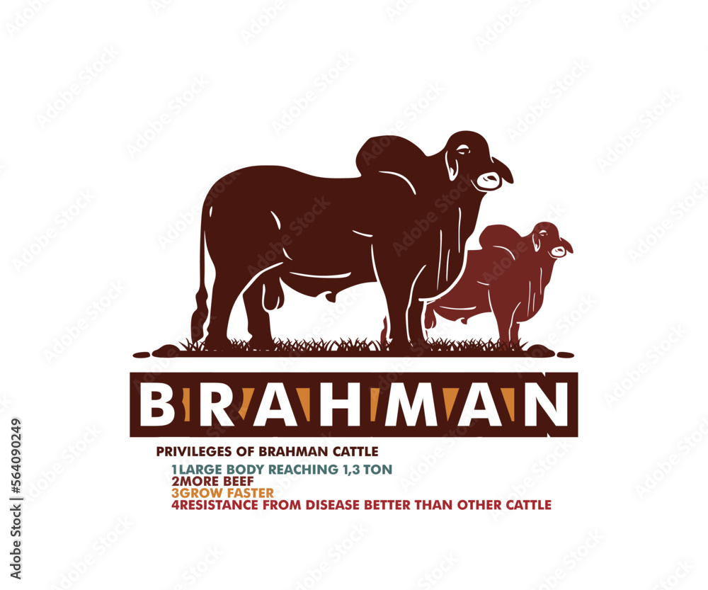 brahman brand channel - YouTube