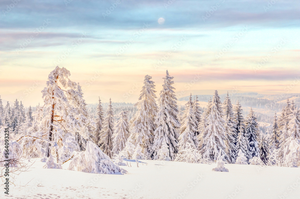 Fototapeta premium Winterlandschaft im Harz, Deutschland 