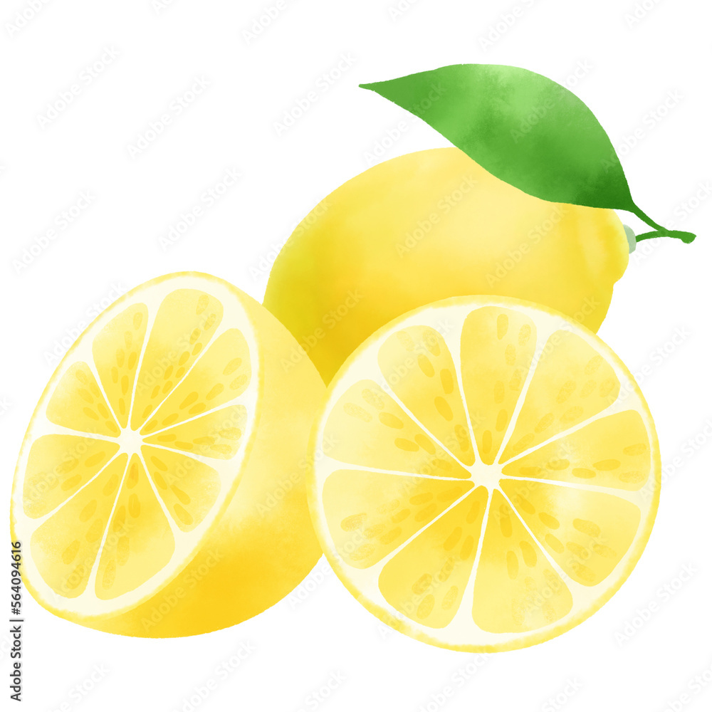 カットされた美味しそうなレモンのイラスト/Illustration of a cut lemon that looks delicious カットされた美味しそうなレモンのイラスト/Illustration of a cut lemon that looks delicious