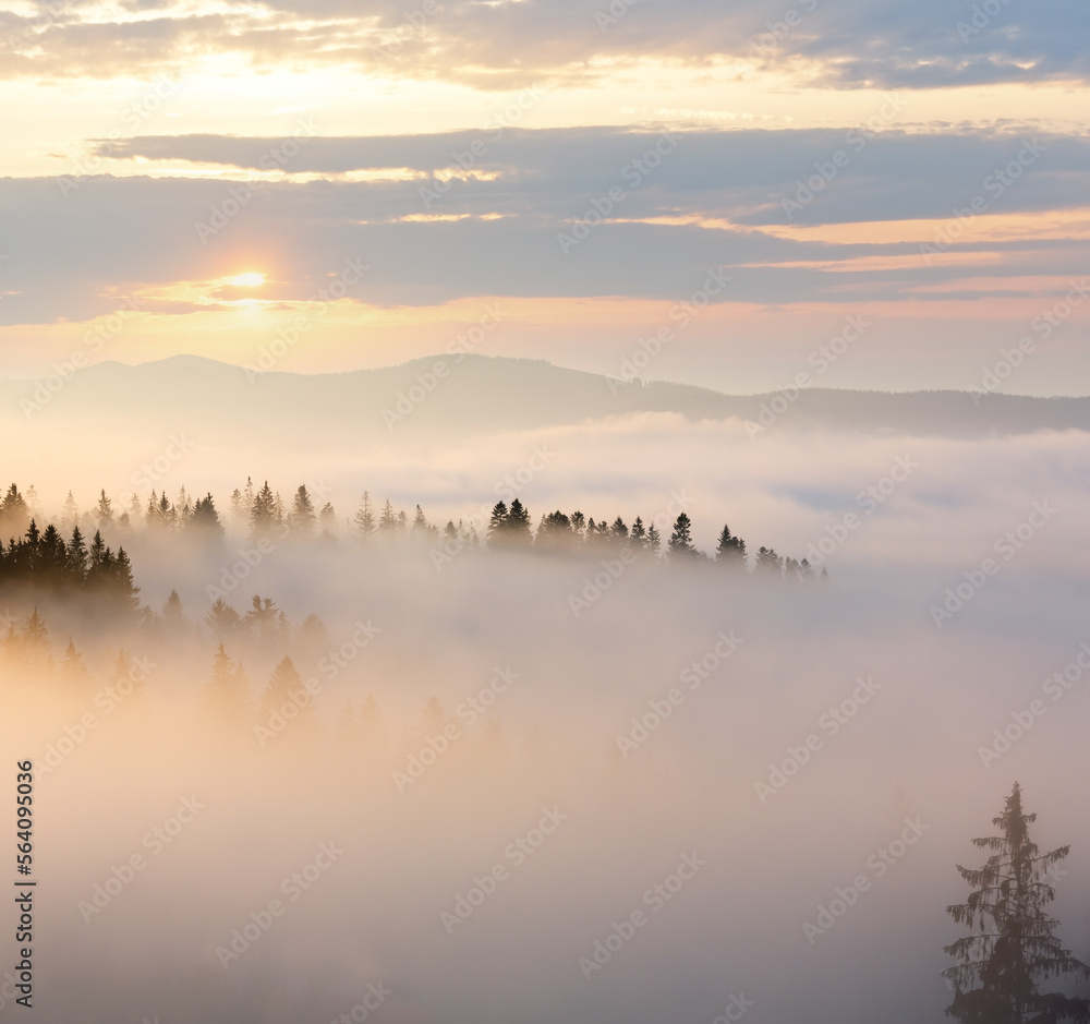 Morning fog on slopes of the Carpathian Mountains (Ivano-Frankivsk oblast, Ukraine). View on Chornohora ridge.