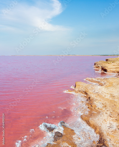 Pink extremely salty Syvash Lake, colored by microalgae with crystalline salt depositions. Also known as the Putrid Sea or Rotten Sea. Ukraine, Kherson Region, near Crimea and Arabat Spit.