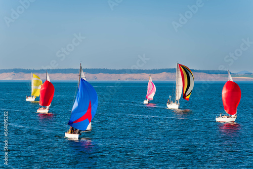 race of sailboats on Strait of Juan de Fuca, Port Townsend, Washington State, USA