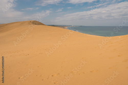 Sand Dunes  Tottori Sakyu  overlooking the sea of japan in Tottori prefecture  Japan