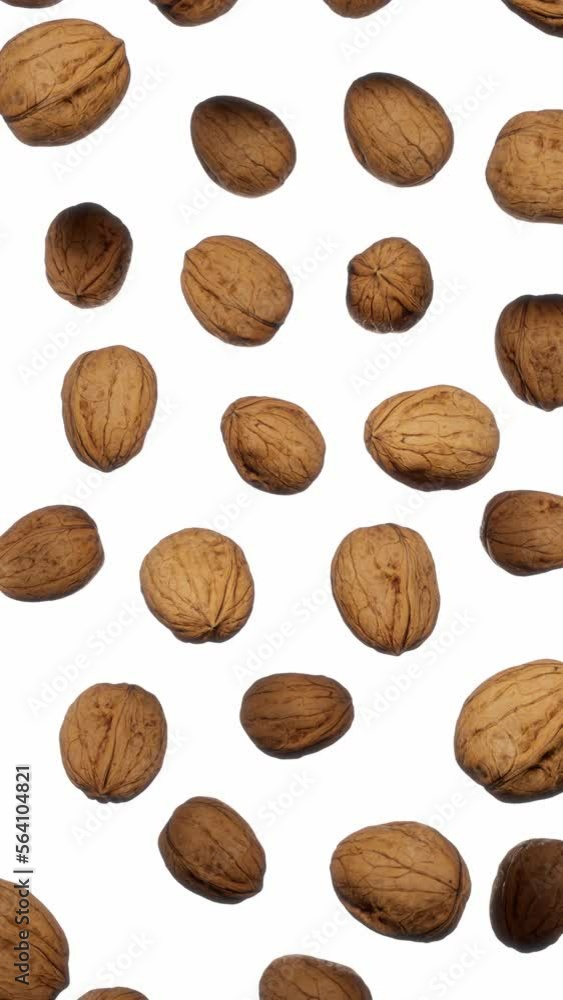 Vertically composed looping animation featuring a cloud of Walnuts floating in place on white background. Vertically composed looping animation featuring a cloud of Walnuts floating in place on white background.